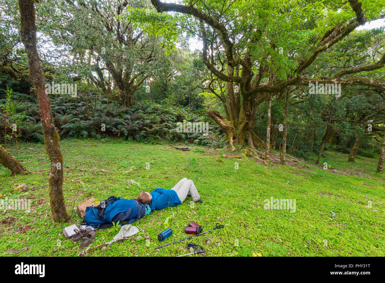Ein Wanderer auf dem Turaco Trail im Nyanga Nationalpark, Simbabwe. Stockfoto