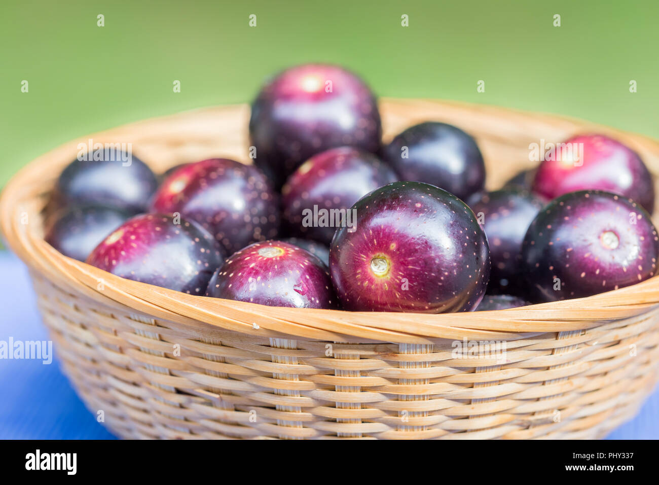 Muscadine Trauben sind auch bekannt als Trauben Sumpf. Sie sind manchmal Swan Trauben in asiatischen Lebensmittelgeschäften genannt. Stockfoto