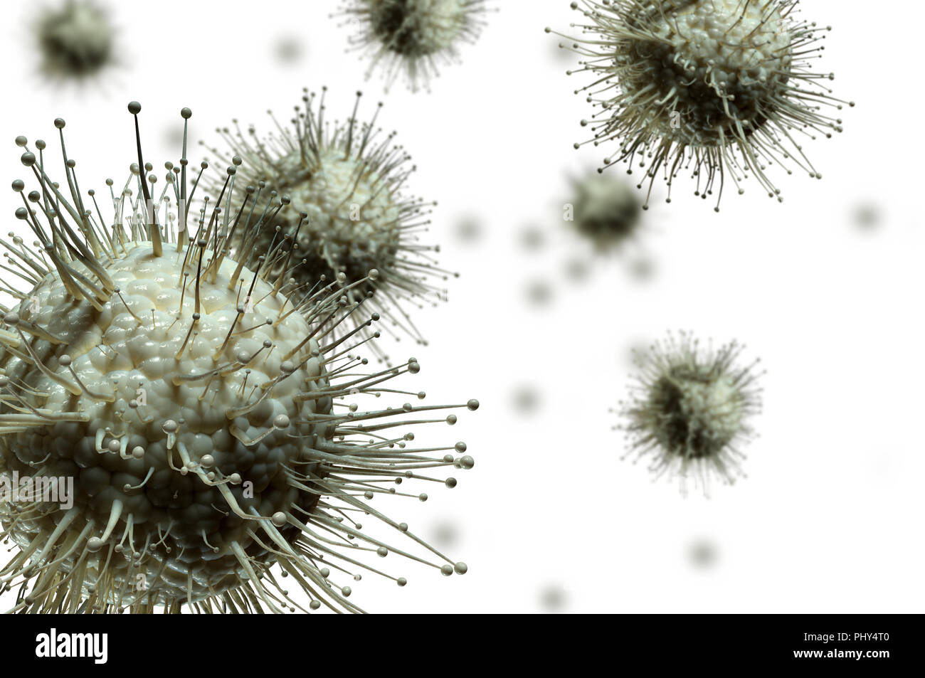 Virus Zellen unter dem Mikroskop auf weißem Hintergrund. 3D-Darstellung Stockfoto