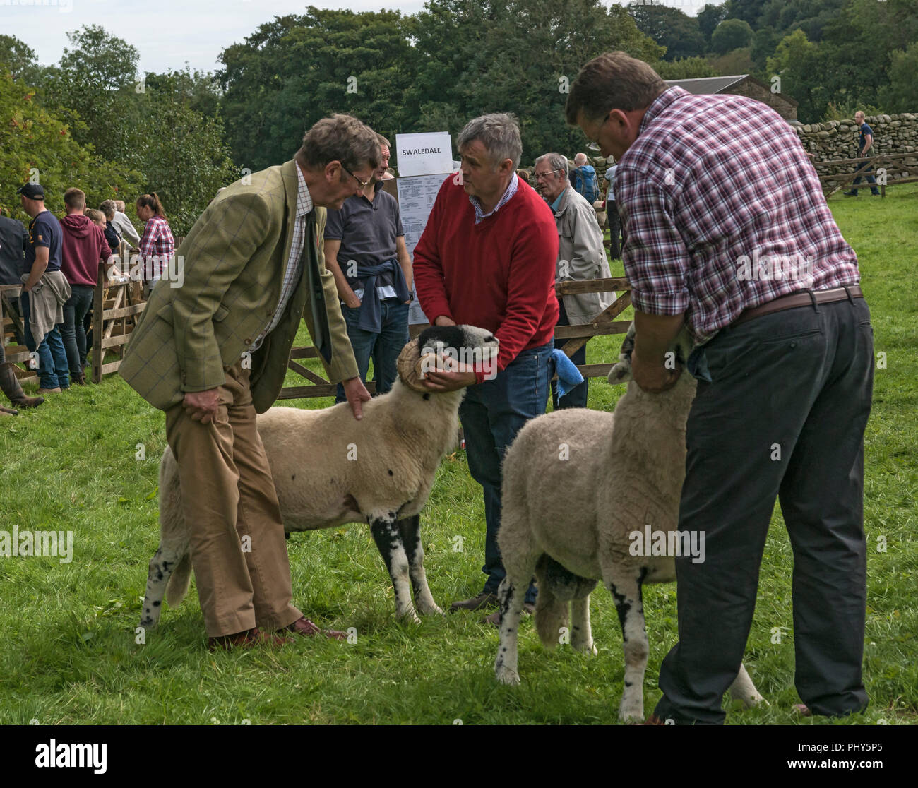 Serenity zeigen, North Yorkshire. Schaf Show in den Yorkshire Dales Stockfoto