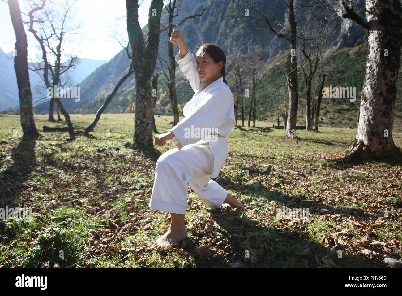 Mitglieder der Karate Club München USC zeigen ihren Sport an der grossen Ahorn Boden im Karwendel Alpen, Österreich Stockfoto