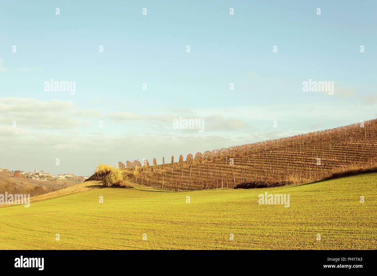 Malerischer Blick auf die frisch geernteten Trauben Felder im Herbst im Barolo Tal Stockfoto