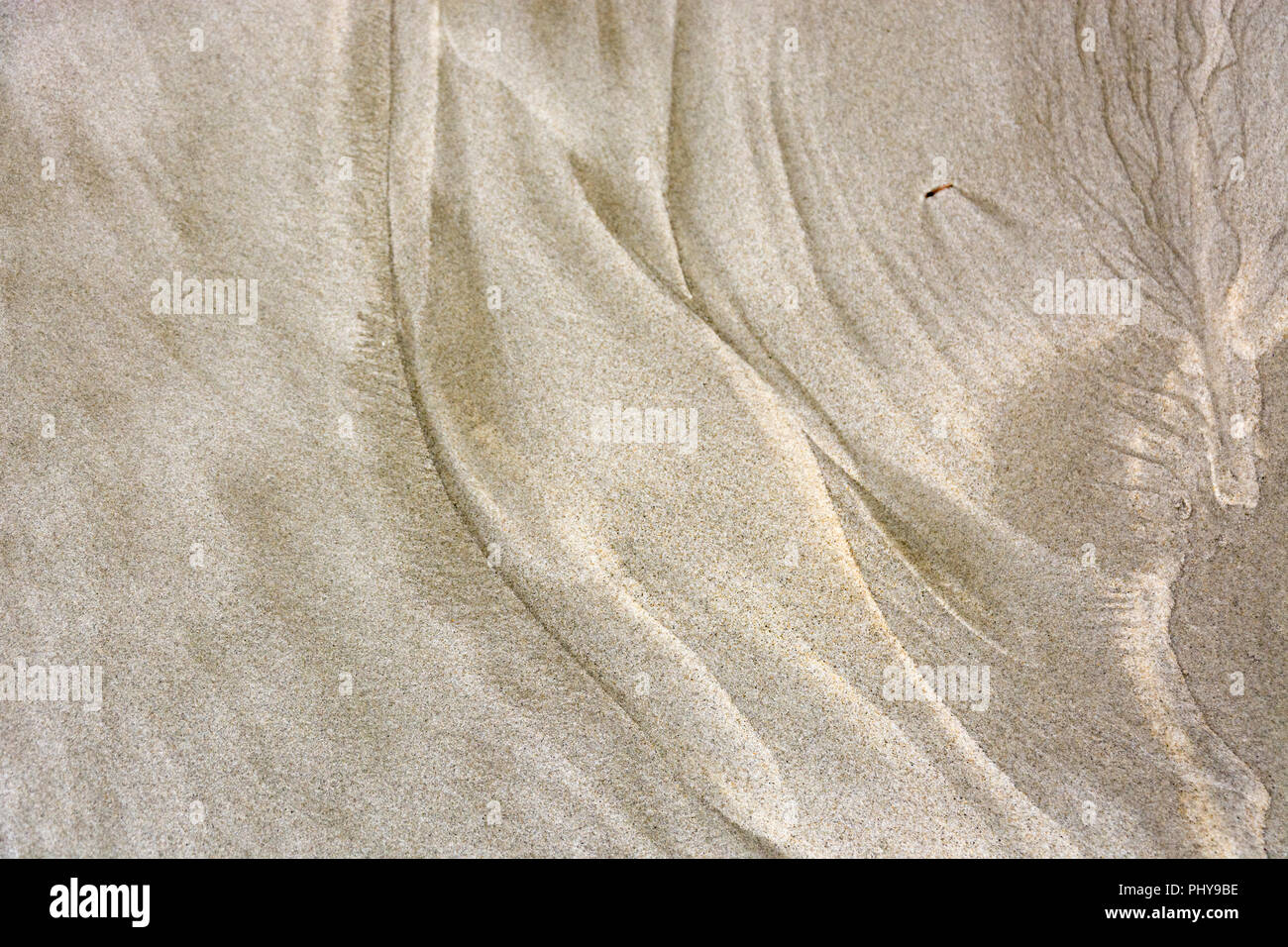 Natürliche Kunst, Aussicht auf einer abstrakten Hintergrund Muster der Sand am Strand, Kunst der Natur Stockfoto