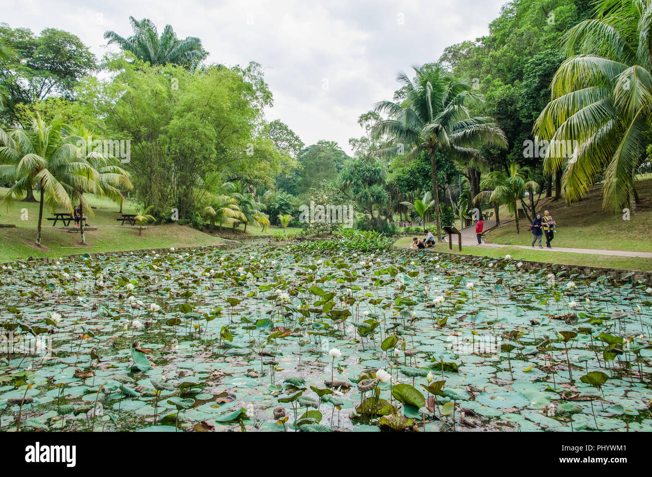 Botanischer garten kuala lumpur Fotos und Bildmaterial in hoher