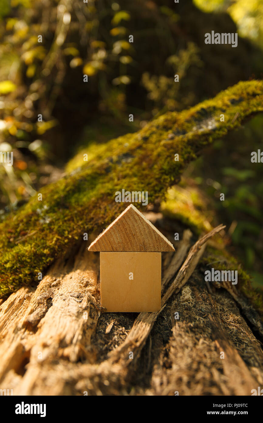 Umweltfreundliche Haus Konzept, Umweltschutz Konzept, Gelb Herbst Herbst Hintergrund. Modell Home im Freien in einem Garten mit Kopie Raum auf Holz Stockfoto