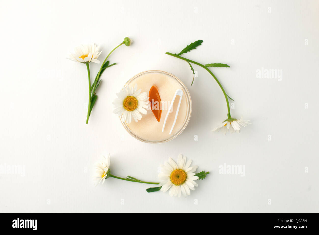 Pflanzliche Produkte zur Schönheitspflege. Augen Pads mit Kräuterextrakt, Kamillenblüten, Konzept der Bio Pflanzen Kosmetik Produkt. Stockfoto