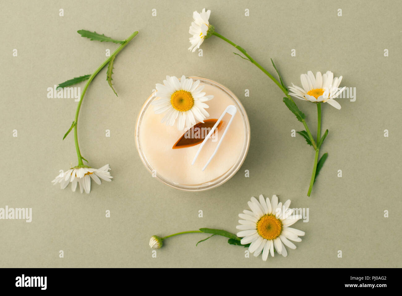 Pflanzliche Produkte zur Schönheitspflege. Augen Pads mit Kräuterextrakt, Kamillenblüten, Konzept der Bio Pflanzen Kosmetik Produkt. Stockfoto