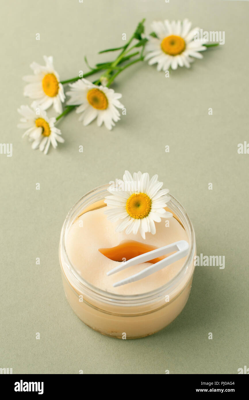 Pflanzliche Produkte zur Schönheitspflege. Augen Pads mit Kräuterextrakt, Kamillenblüten, Konzept der Bio Pflanzen Kosmetik Produkt. Stockfoto
