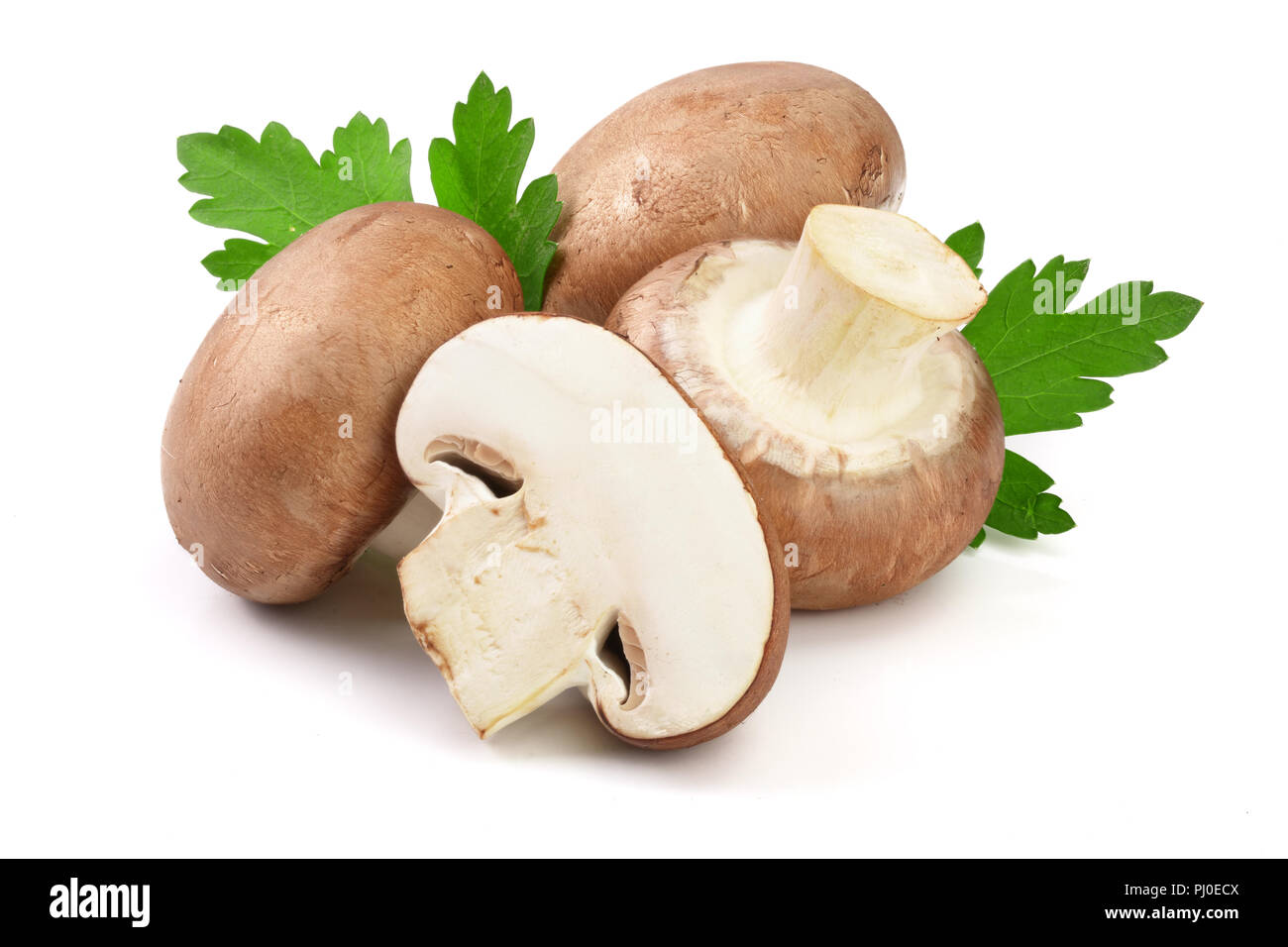 Royal Braun Champignon mit der Hälfte und Petersilie Blatt auf weißem Hintergrund Stockfoto