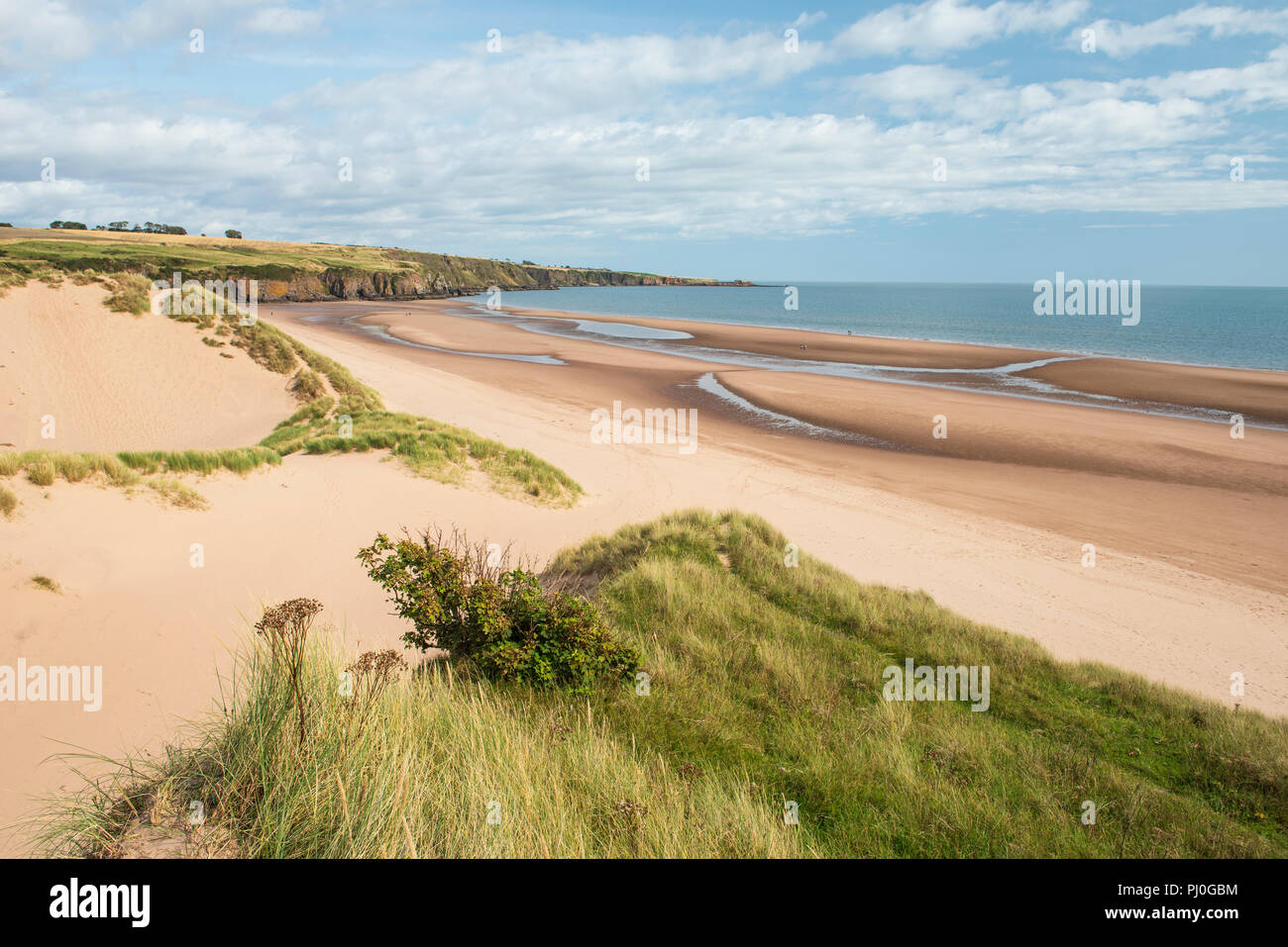 Lunan Bay Beach und Sanddünen, Angus, Schottland. Stockfoto