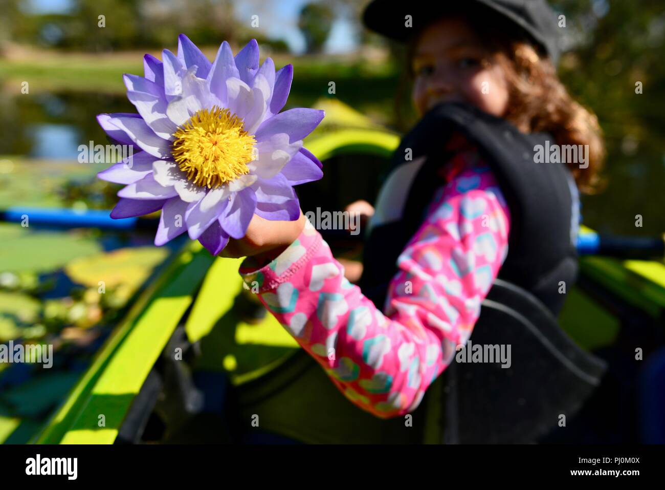 Junge Mädchen, dass eine lila Seerose Blüte während lächelnd, Ross River, QLD, Australien Stockfoto