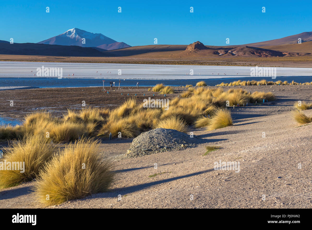 Laguna Hedionda, Potosi, Bolivien Stockfoto