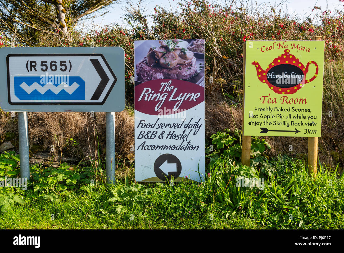 Werbung Schilder auf Feldweg auf Valentia Island, County Kerry, Irland Stockfoto