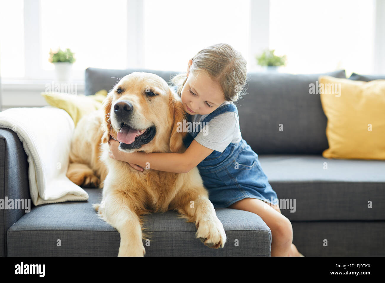 Umfassende Hund Stockfoto