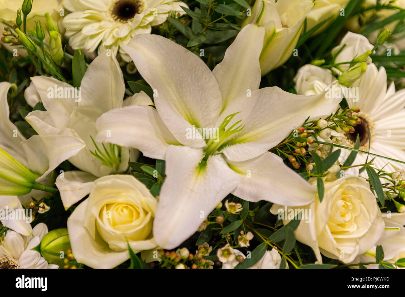 Anordnung der weißen Lilien Creme Rosen Stockfoto