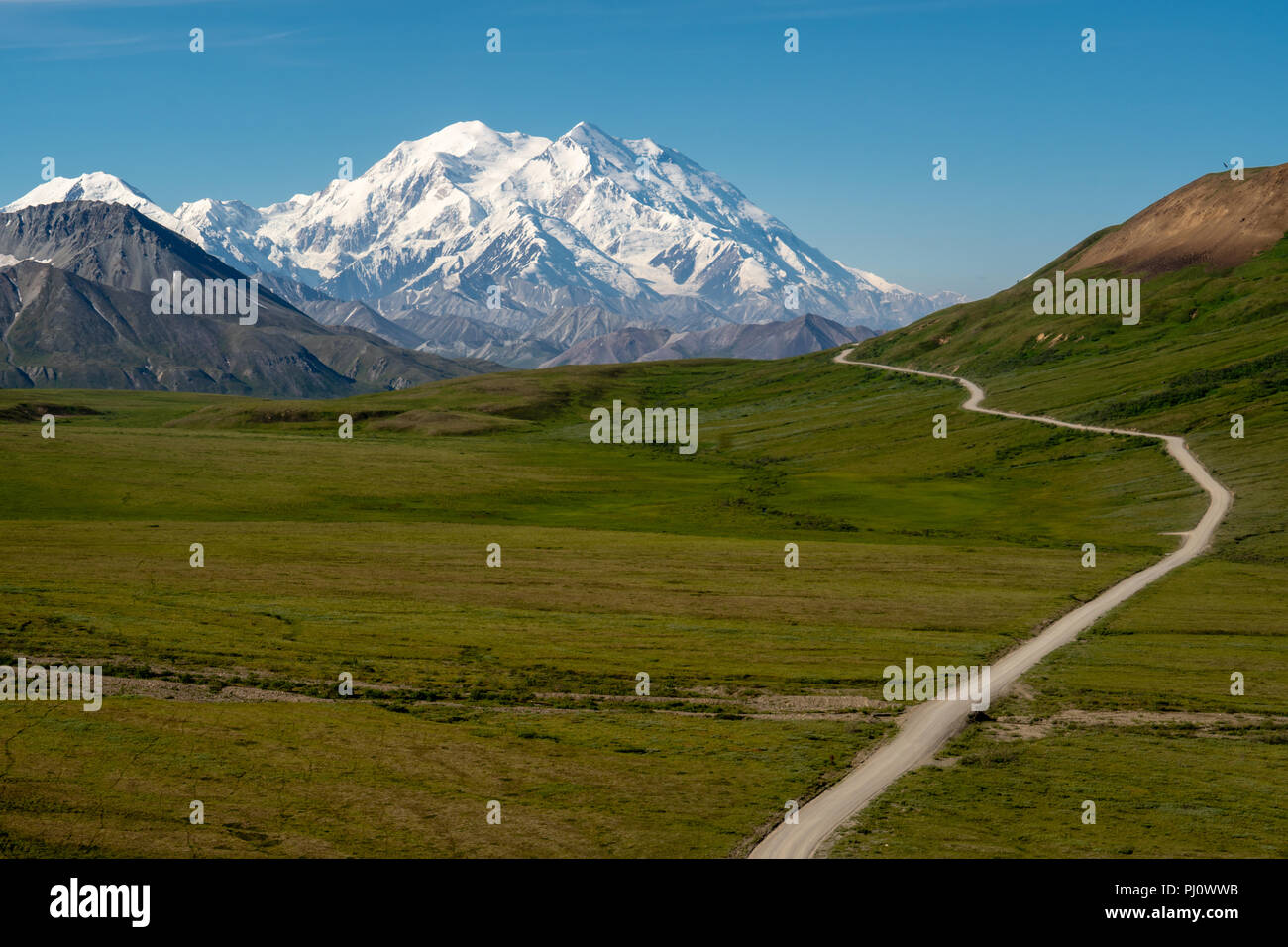 Klar sonniger Tag im Denali National Park mit der Straße, die zu den ungehinderten Blick auf den Denali (ehemals Mt McKinley) Stockfoto