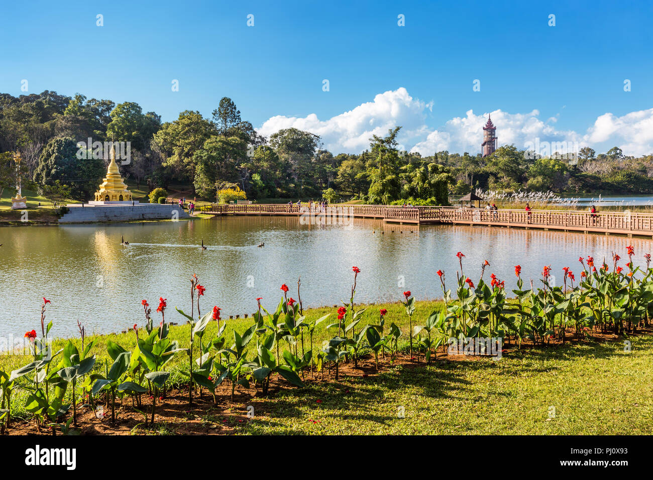 Nationale Kandawgyi Gärten Pyin Oo Lwin Mandalay, Myanmar (Birma) Stockfoto