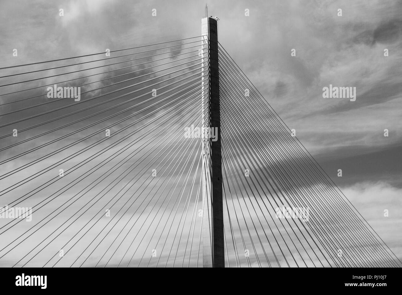 Queensferry Kreuzung, neue Forth Road Bridge, Erhabene, Edinburgh, Schottland Stockfoto