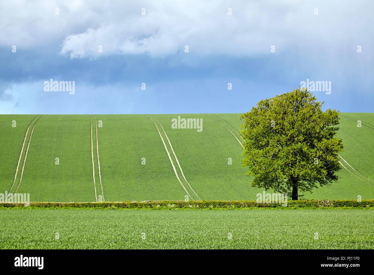 Englische Landschaft Stockfoto