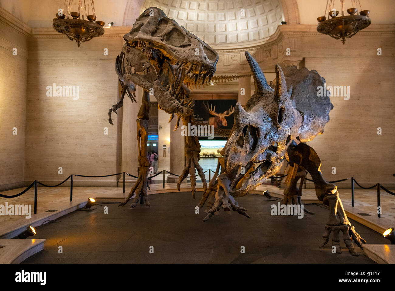 Das Natural History Museum von Los Angeles County ist der grösste natürliche und historische Museum in den westlichen Vereinigten Staaten. Ihre Sammlungen umfassen ne Stockfoto