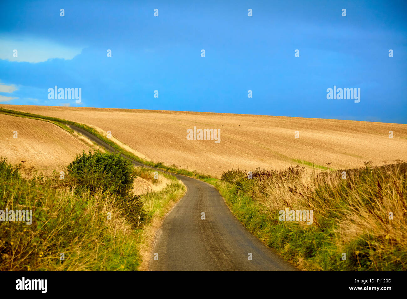 Lane by Field in englischer Landschaft Stockfoto