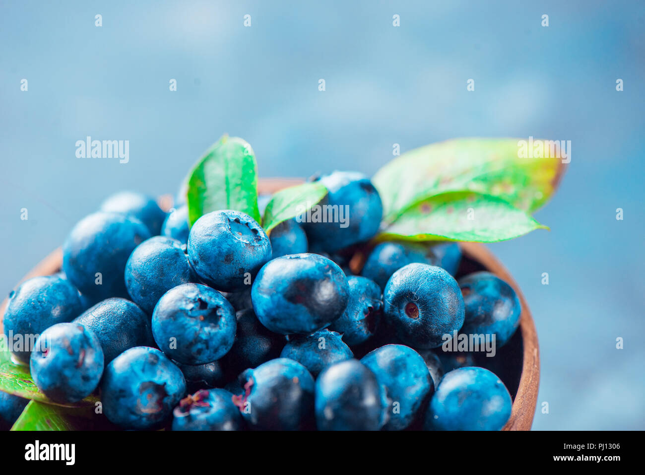 Heidelbeeren close-up. Reif und süß Sommer Beeren Makro. Natürliche Schönheit, blau und grau Palette, kopieren Raum Stockfoto