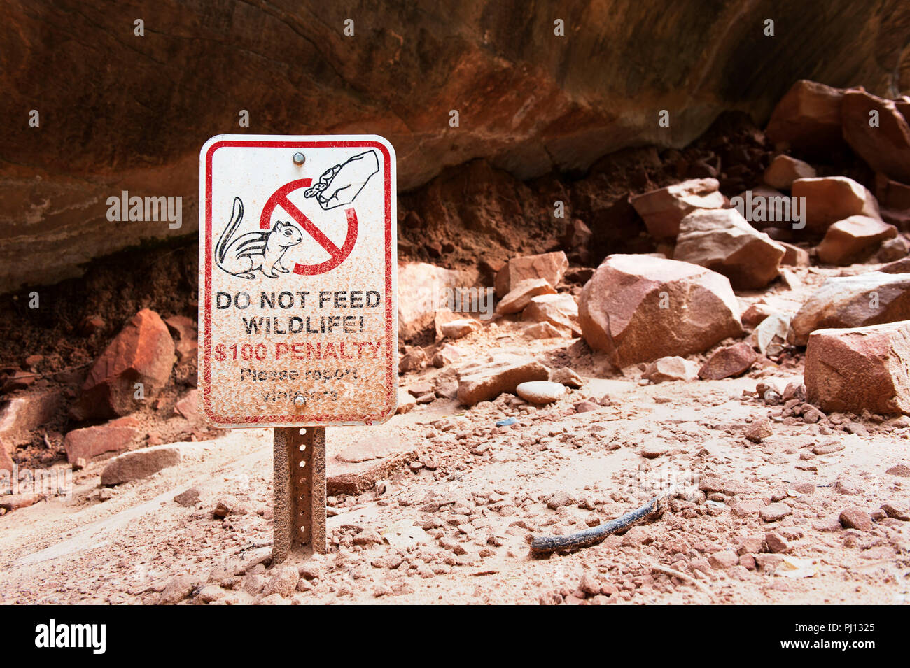 'Wildlife' Zeichen im Zion National Park, Utah, USA. Stockfoto