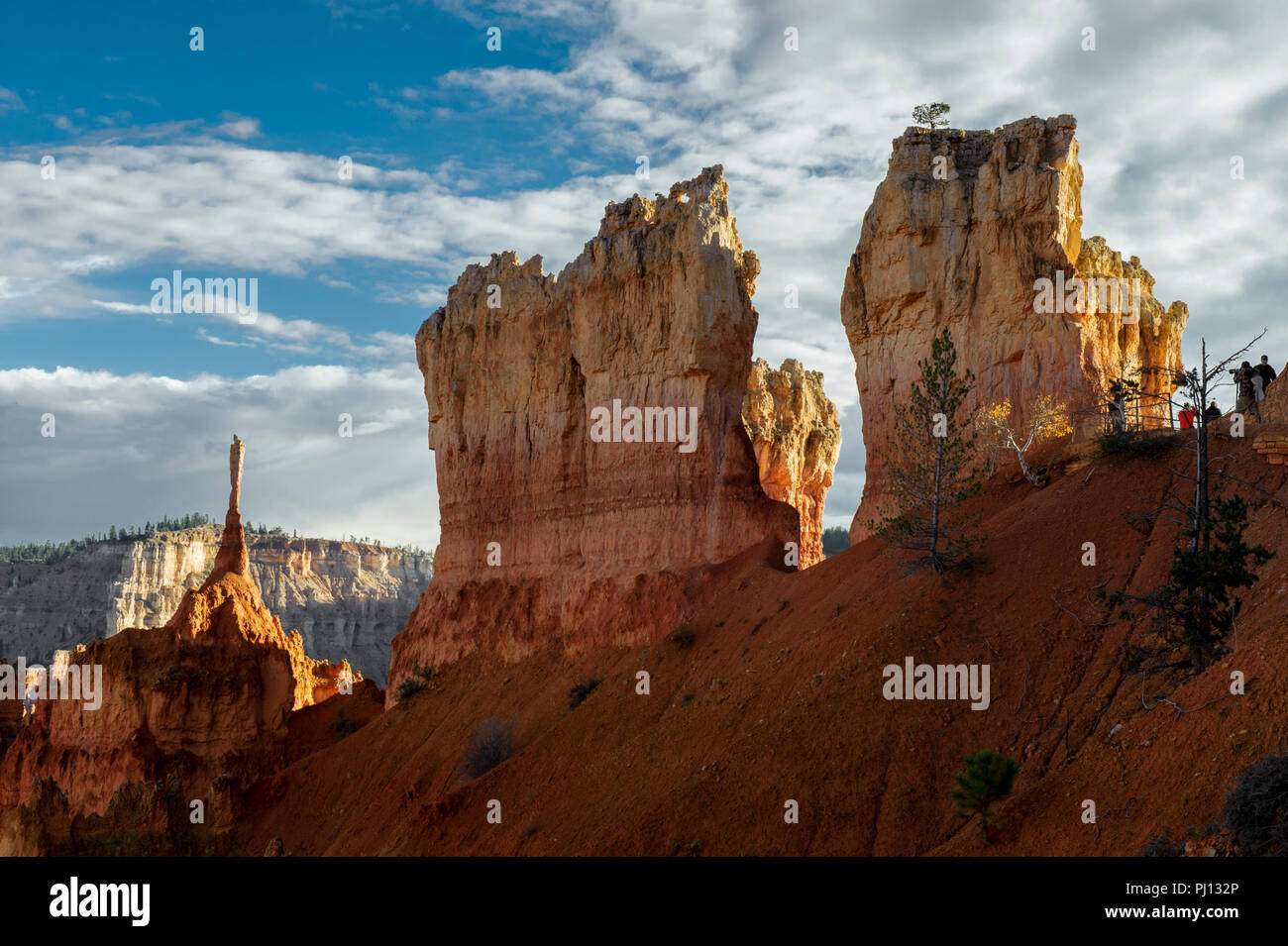 Am späten Nachmittag Licht auf Bryce Canyon National Park, Utah. Stockfoto