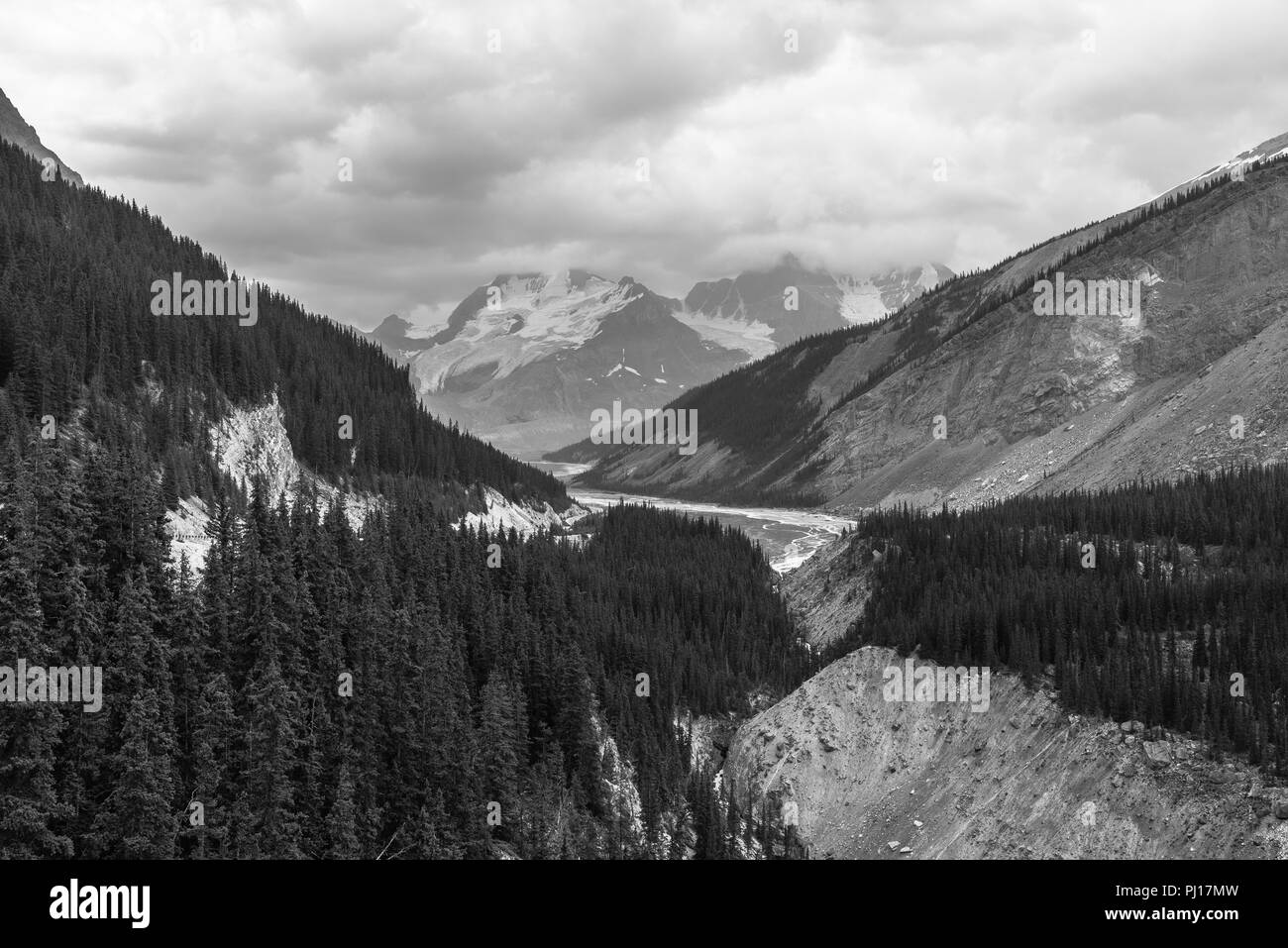 Ein Blick über die Sunwapta Valley vom Gletscher Skyway in Jasper National Park. Stockfoto