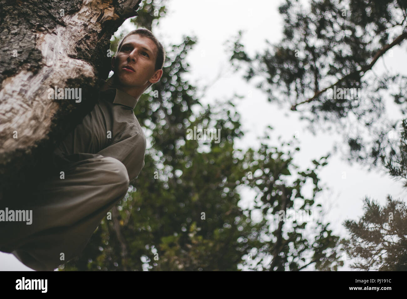 Man bewegt sich in der Natur Wald Stockfoto