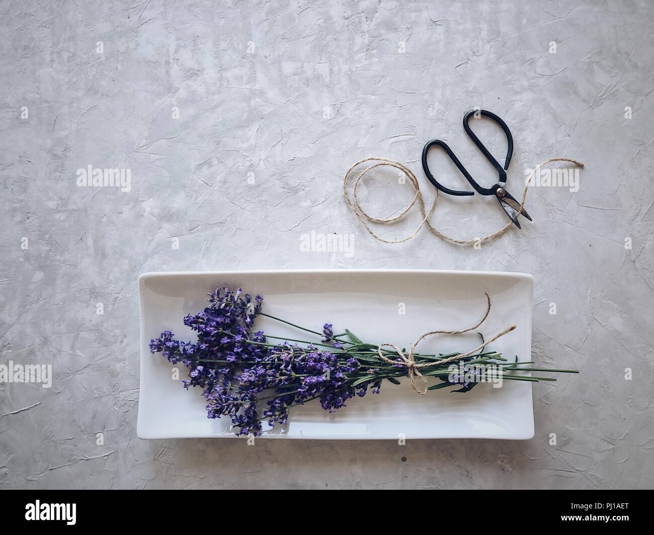 Lavendel auf einem Teller mit string und Schere Stockfoto
