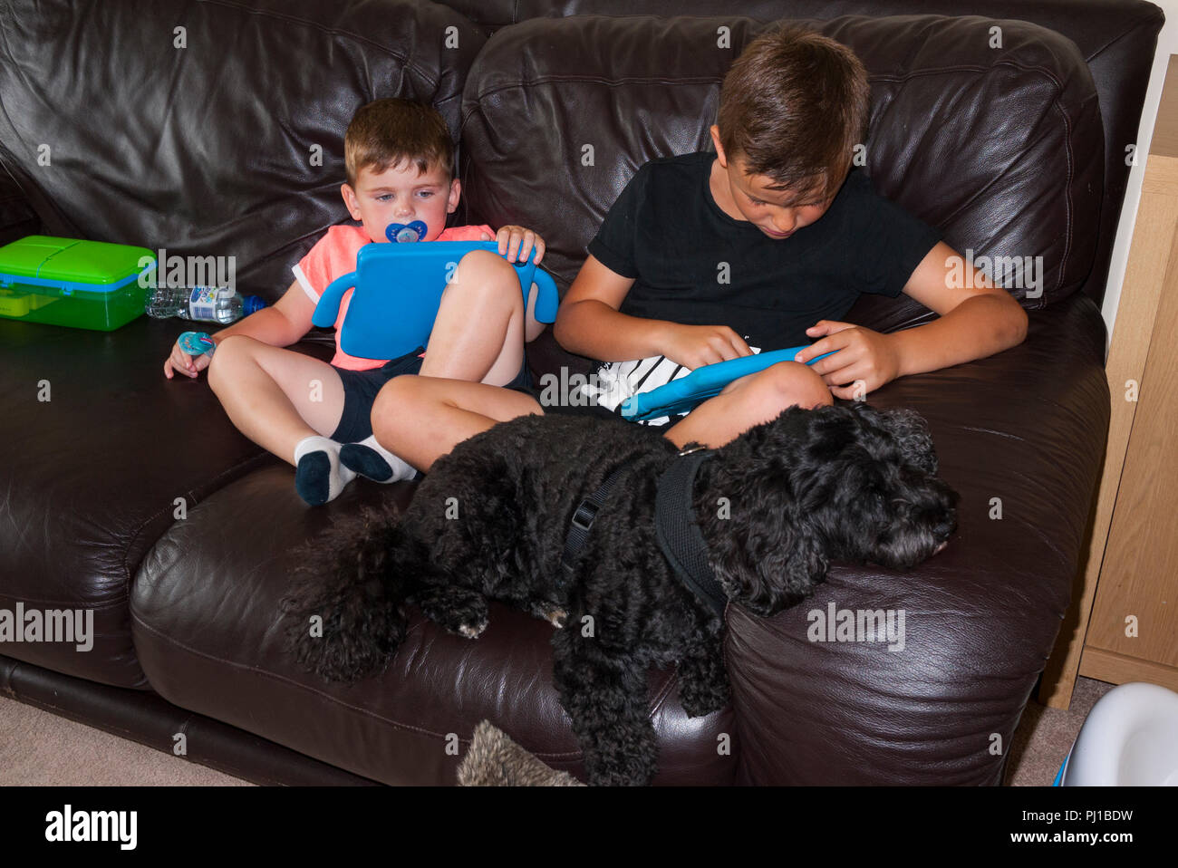 Zwei Jungen, ich pads Sitzen auf einem Sofa mit Cokerpoo Hund, England, UK. Stockfoto