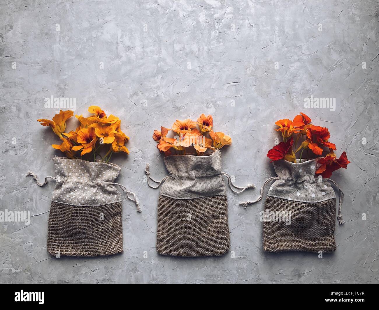 Kapuzinerkresse Blumen in drei hessischen Taschen Stockfoto