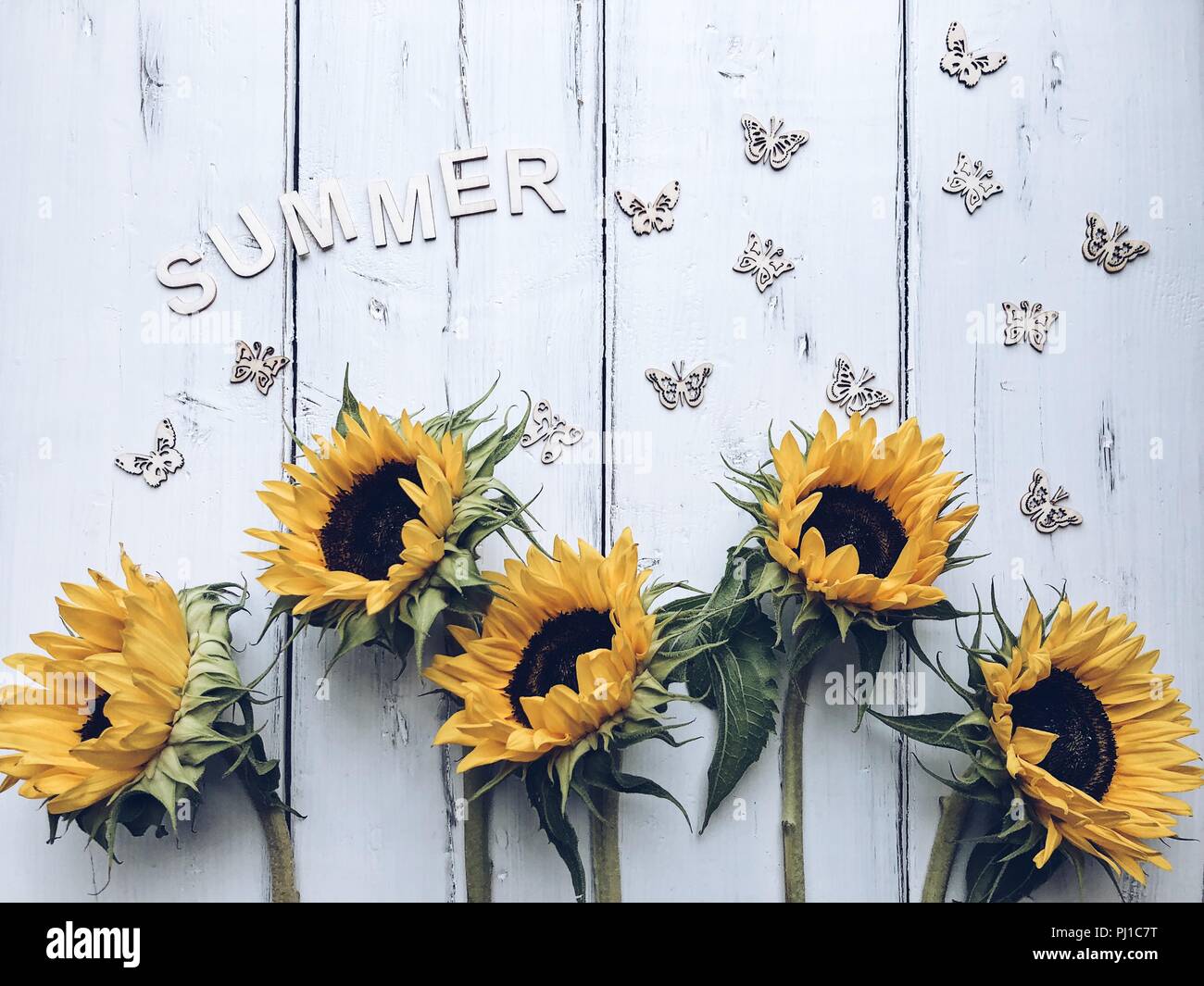 Sommer sonnenblume Anordnung Stockfoto