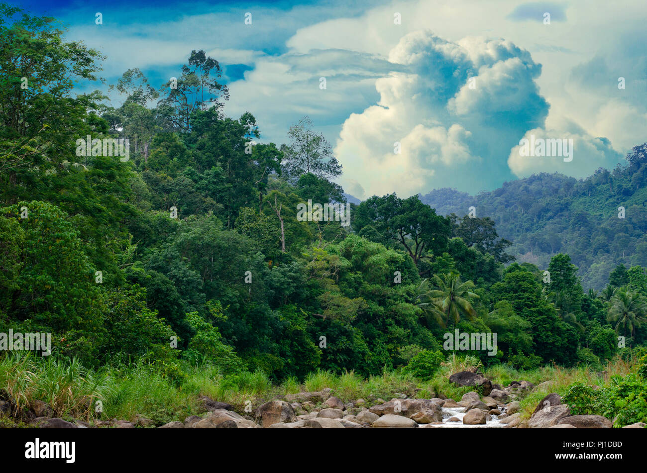 Wald khiriwong Landschaft der kleinen Fluss und schöne Sonnenuntergang Keeree Wong Verbot Khiri Wong Dorf Nakhon Si Thammarat Thailand Stockfoto