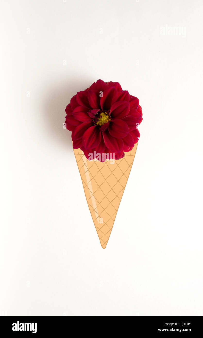 Kreatives Konzept Foto Von Blume Mit Bebilderter Eis Stockfotografie Alamy