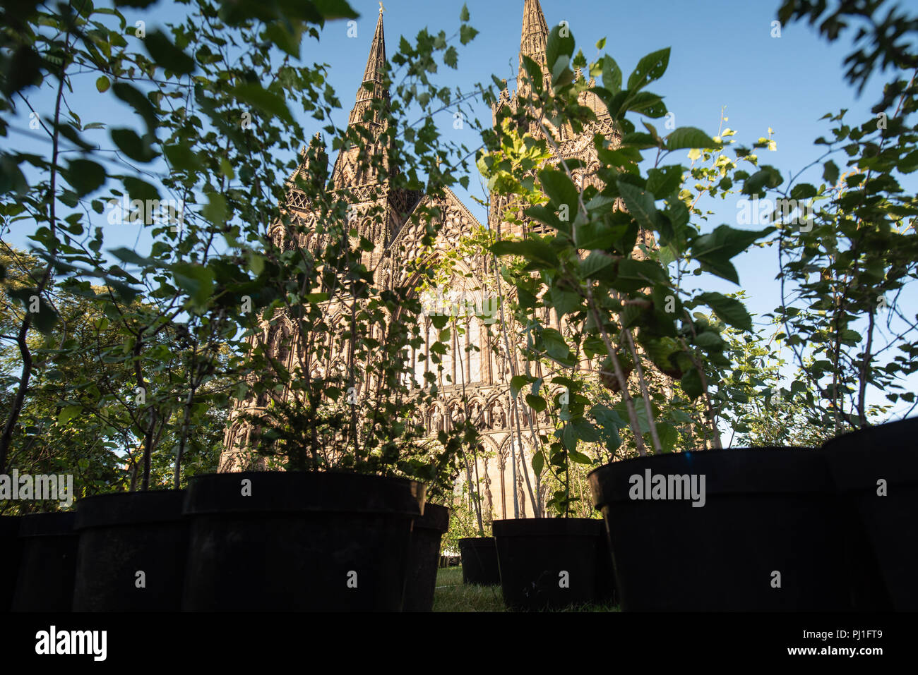 Kathedrale von Lichfield, Lichfield, Staffordshire, Großbritannien. 16. August 2018. Hunderte von geladenen Gästen zusehen, wie Kathedrale von Lichfield liegt spektakulär beleuchtet Stockfoto