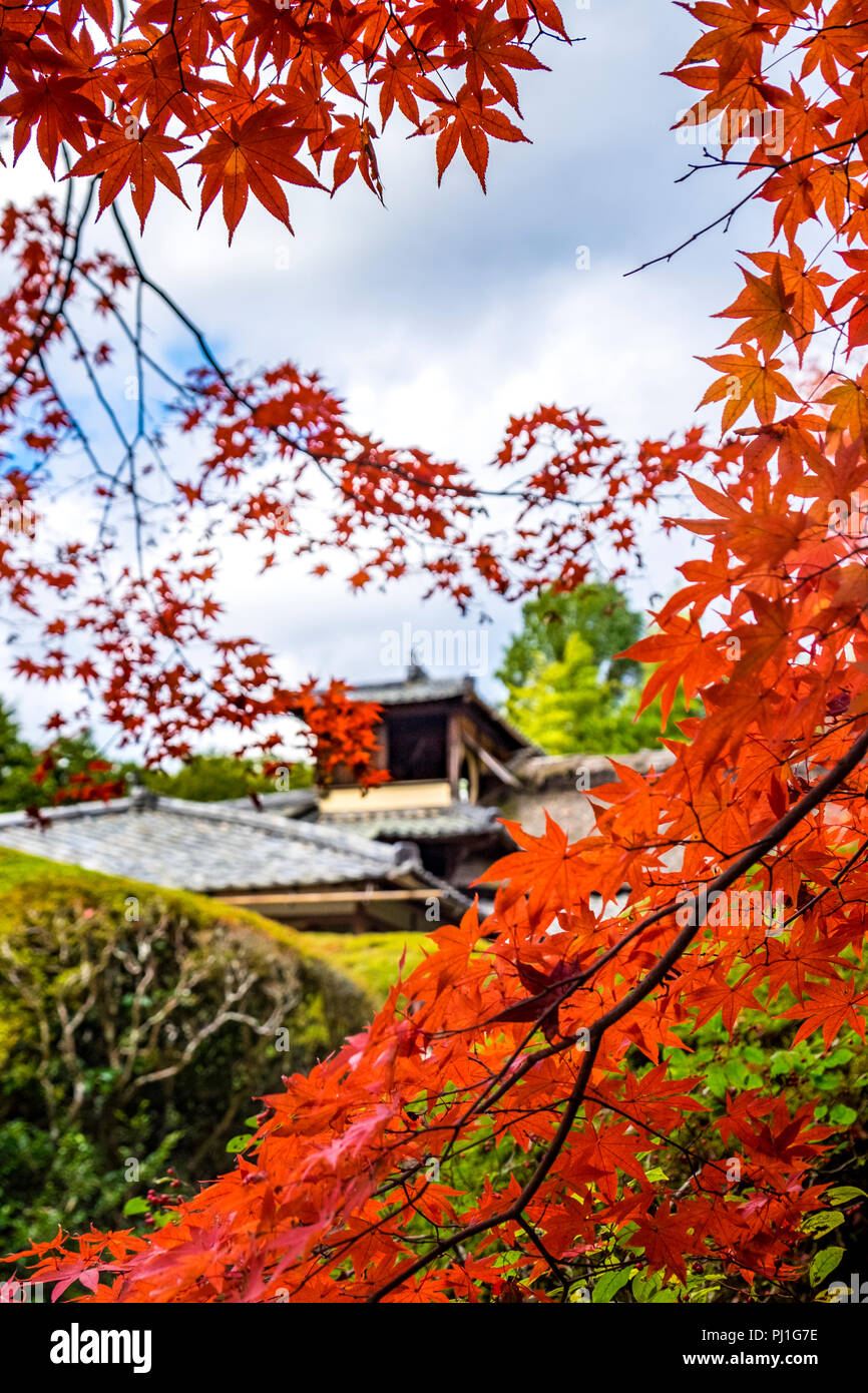 Herbst Besuch in Shisen-Tempel (Haus der Dichter), Kyoto, Japan Stockfoto