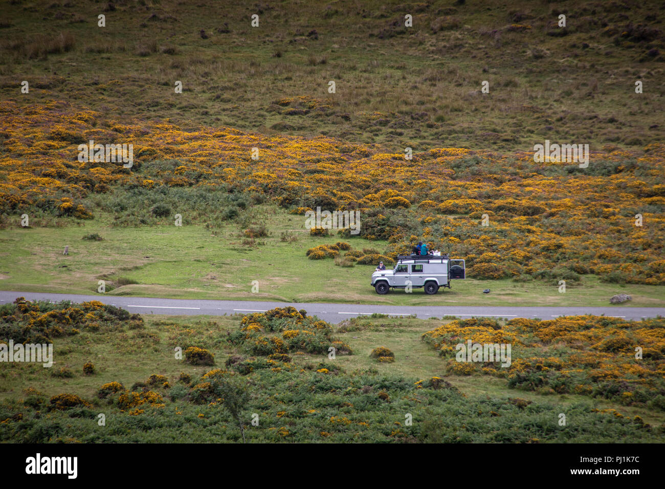Haytor in Dartmoor, Großbritannien Stockfoto