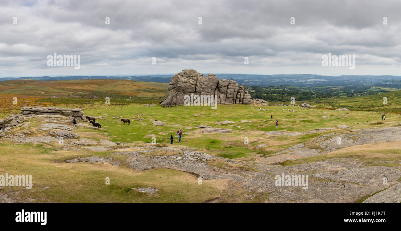Haytor in Dartmoor, Großbritannien Stockfoto