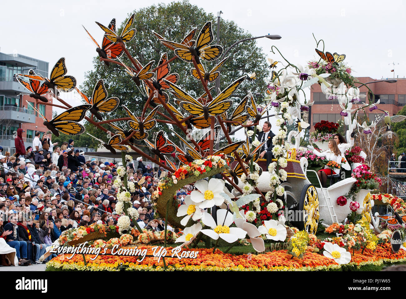 Ein Schwimmer auf der Route der Turnier 2017 von Roses Parade, Rose Parade, Pasadena, Kalifornien, Vereinigte Staaten von Amerika Stockfoto
