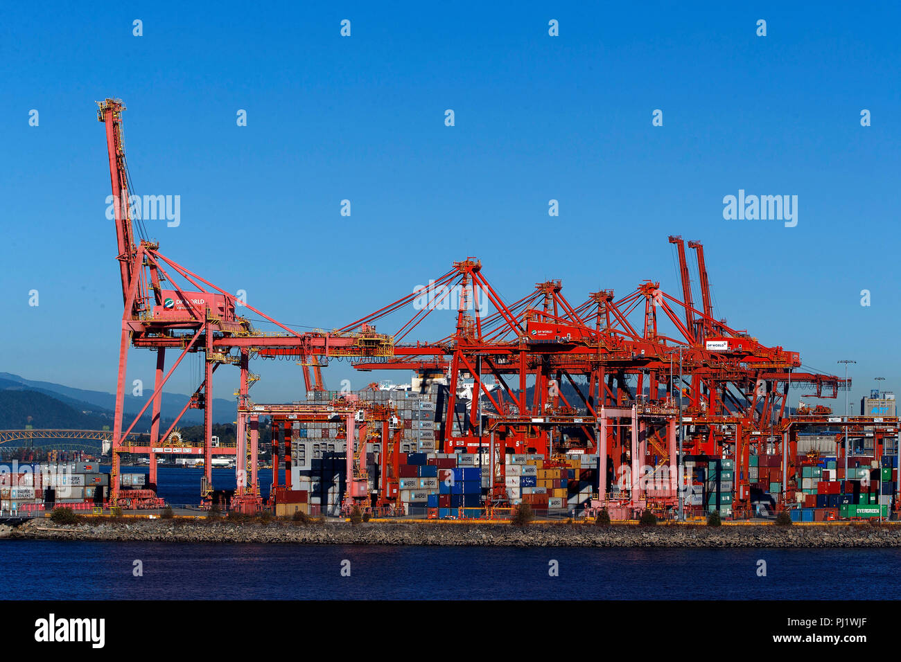 Container Krane und Maschinen, der Hafen von Vancouver, den Hafen von Vancouver, Vancouver, British Columbia, Kanada Stockfoto