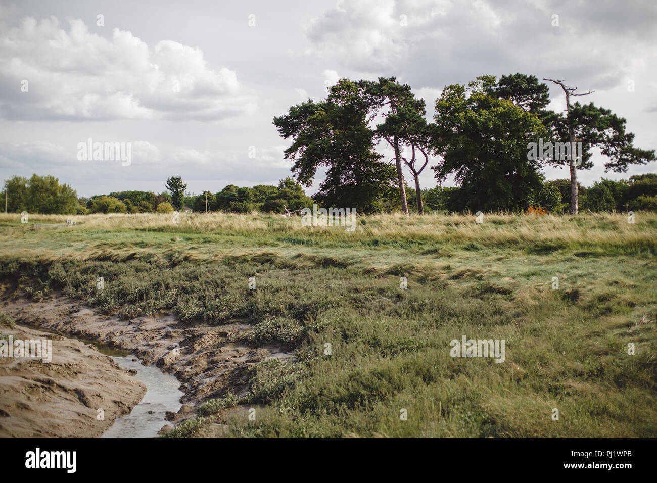 Die Pille in der Neuen Passage am Ufer des Flusses Severn/Severn Estuary in South Gloucestershire in der Nähe von Bristol Stockfoto