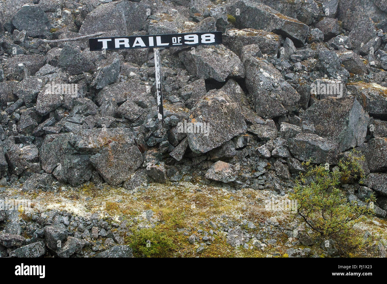 Trail 98, White Pass und Yukon Route Bahn, Skagway, Alaska, Vereinigte Staaten von Amerika Stockfoto
