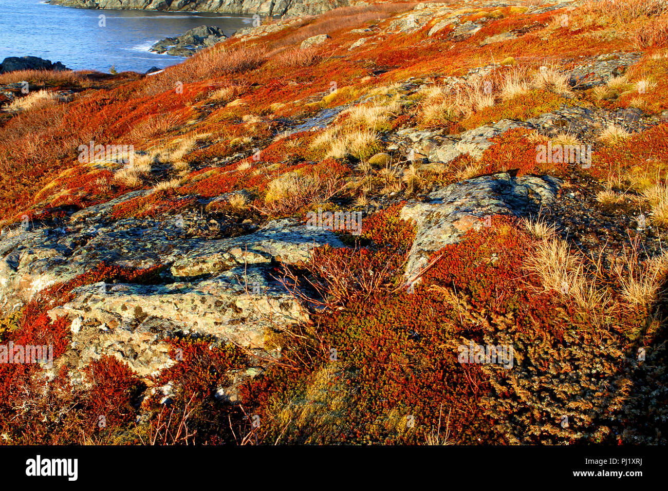 Bei Interesse an der St. Anthony Bight an der nördlichen Spitze von Neufundland, Kanada. Stockfoto