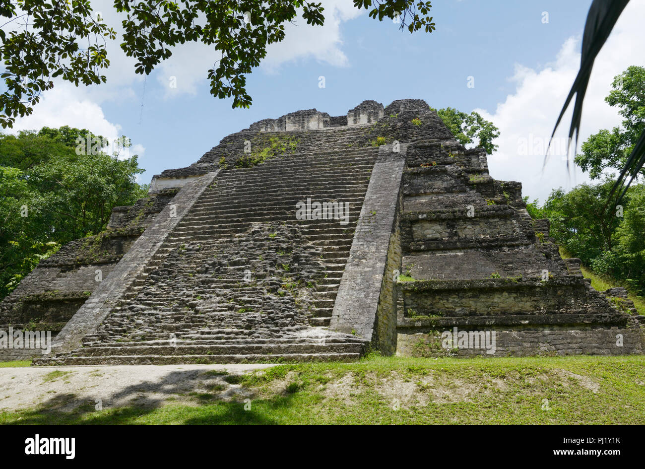 Tempel Talud Tablero, Tikal, Guatemala Maya Ruinen Stockfoto