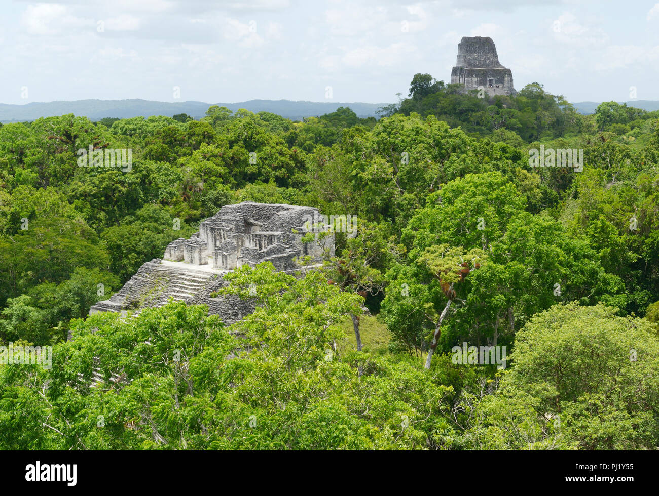 Maya Ruinen von Tikal, der aus dem Dschungel, Guatemala Stockfoto