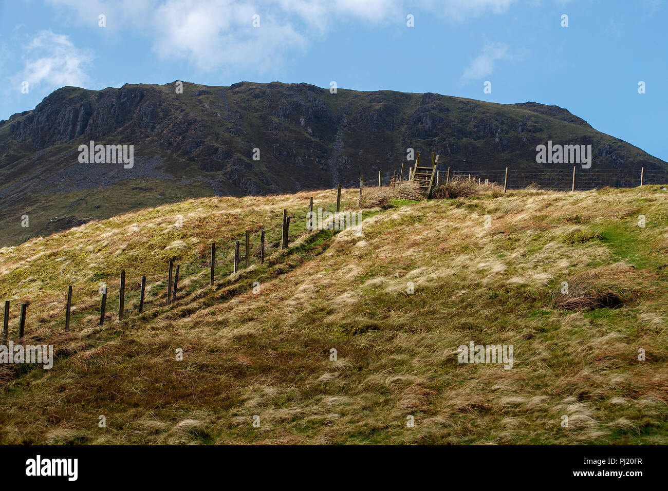 Cad-West, Dinas Mawddwy Schleife, in der Nähe von Dolgellau, Wales, Vereinigtes Königreich Stockfoto