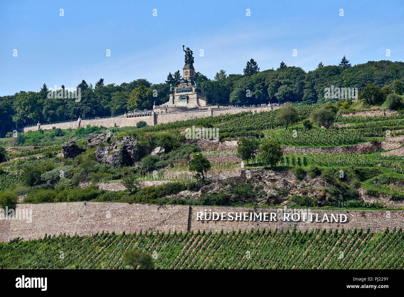 Blick auf das Niederwalddenkmal auf dem Hügel oberhalb von Rüdesheim am Rhein Stockfoto