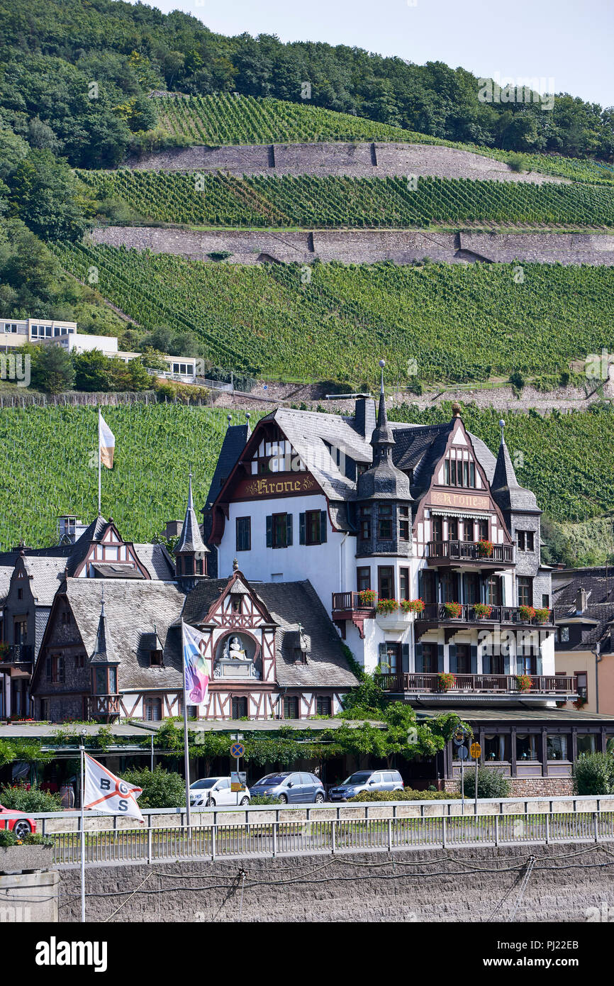 Hotel Krone in assmannhausen am Rhein, Büste zum Gedenken an Ferdinand Freiligrath, Hintergrund der Weinberge wachsen auf dem Hügel Stockfoto